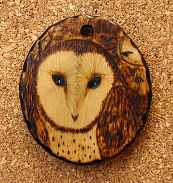 barn owl tanja sova pyrogaphy